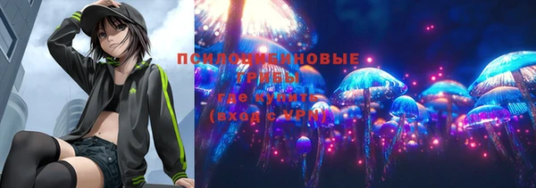 соль курить ск Алзамай