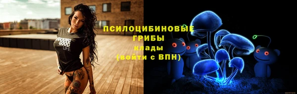 шишки Алексеевка