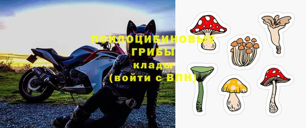 шишки Алексеевка