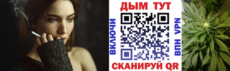 Бошки Шишки MAZAR  Бердск 